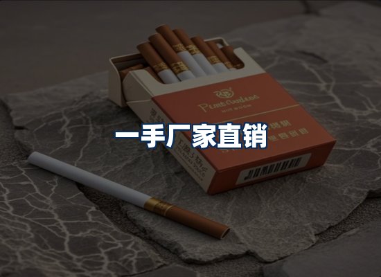 专业团队办公环境